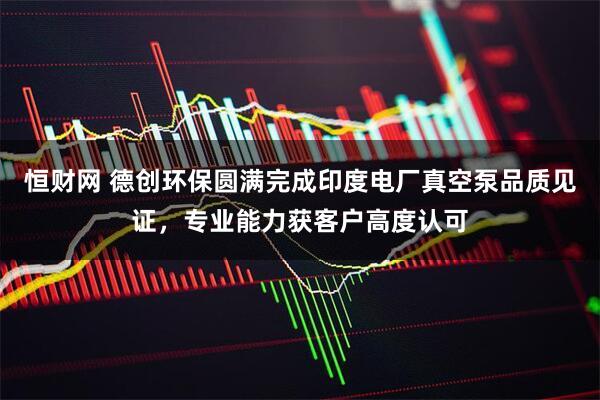 恒财网 德创环保圆满完成印度电厂真空泵品质见证，专业能力获客户高度认可