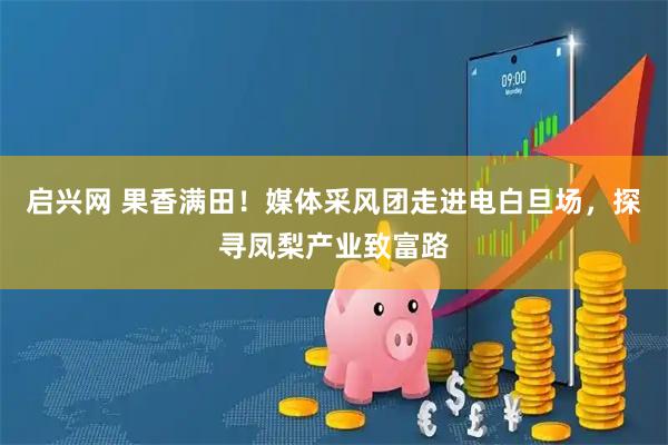 启兴网 果香满田！媒体采风团走进电白旦场，探寻凤梨产业致富路